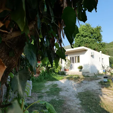 Otel Tropikal Freskia Bunec