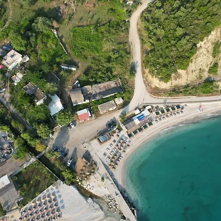 Tropikal Freskia Bunec