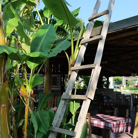 Tropikal Freskia Bunec 호텔 Piqeras