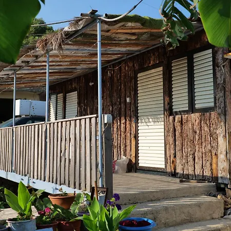 Tropikal Freskia Bunec Piqeras