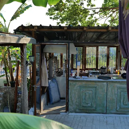 Tropikal Freskia Bunec