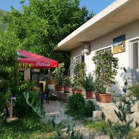 Tropikal Freskia Bunec