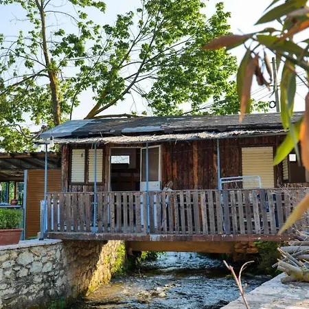 Tropikal - Freskia Bunec 3*