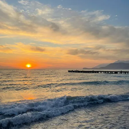 Tropikal Freskia Bunec Piqeras