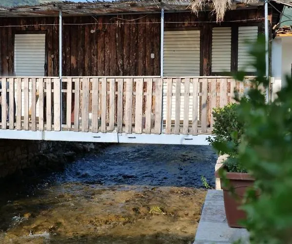 Otel Tropikal Freskia Bunec Piqeras