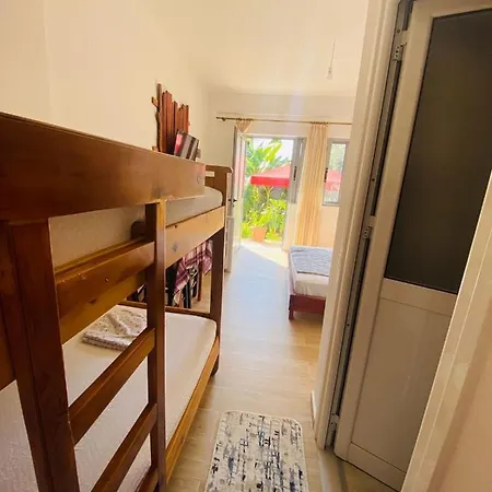 Tropikal Freskia Bunec