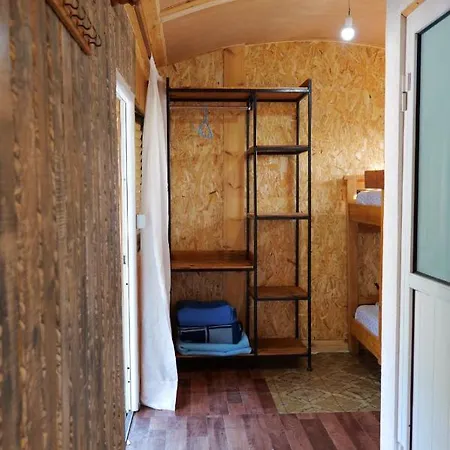 Tropikal Freskia Bunec Piqeras