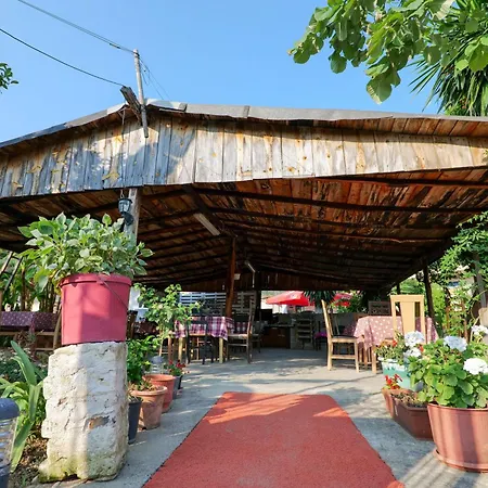 Tropikal Freskia Bunec