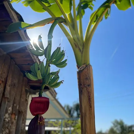 ホテル Tropikal Freskia Bunec