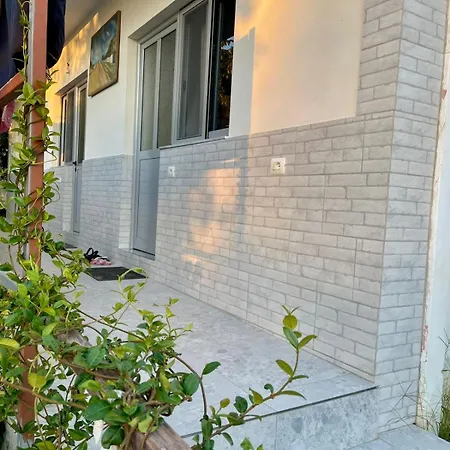 Tropikal Freskia Bunec