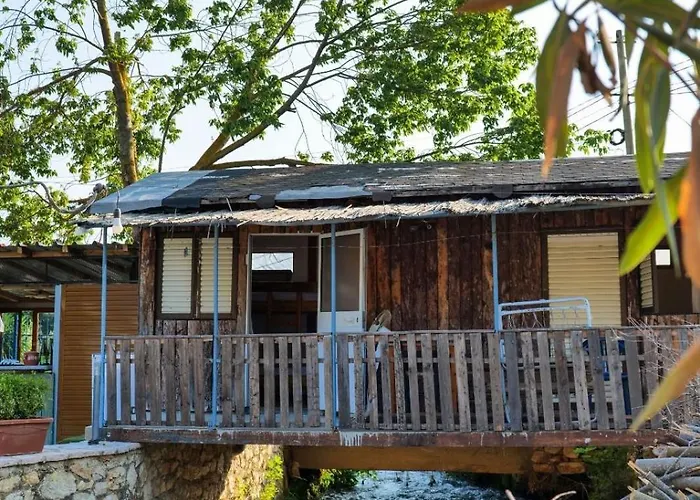 Tropikal Freskia Bunec 3*