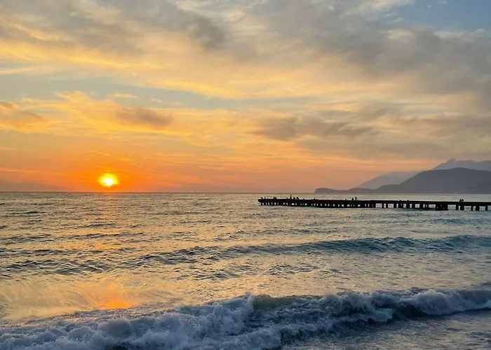 Tropikal Freskia Bunec Piqeras